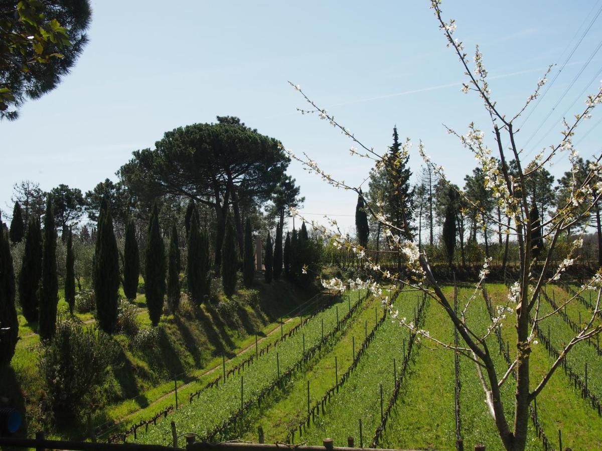 Gli Archi * Fauglia