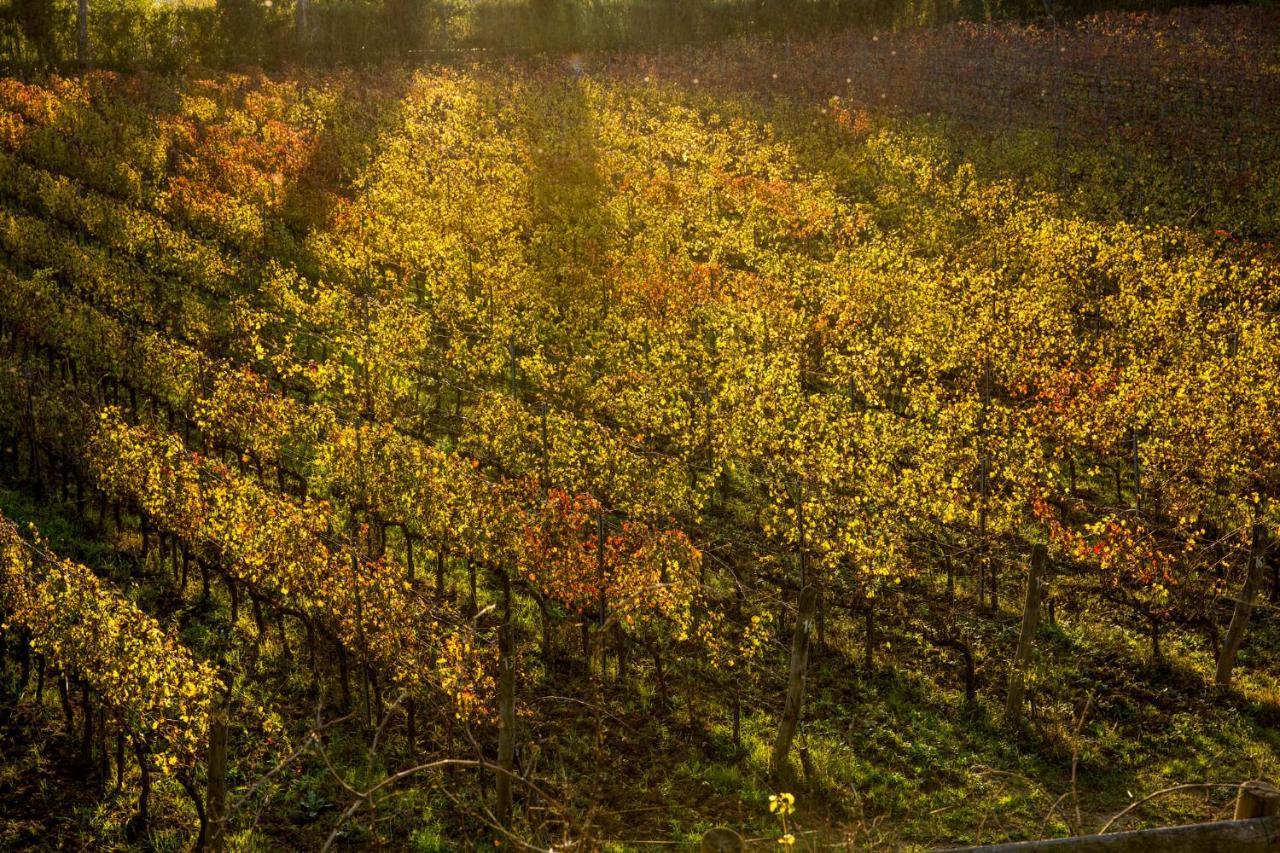 Gli Archi Agroturismo Fauglia
