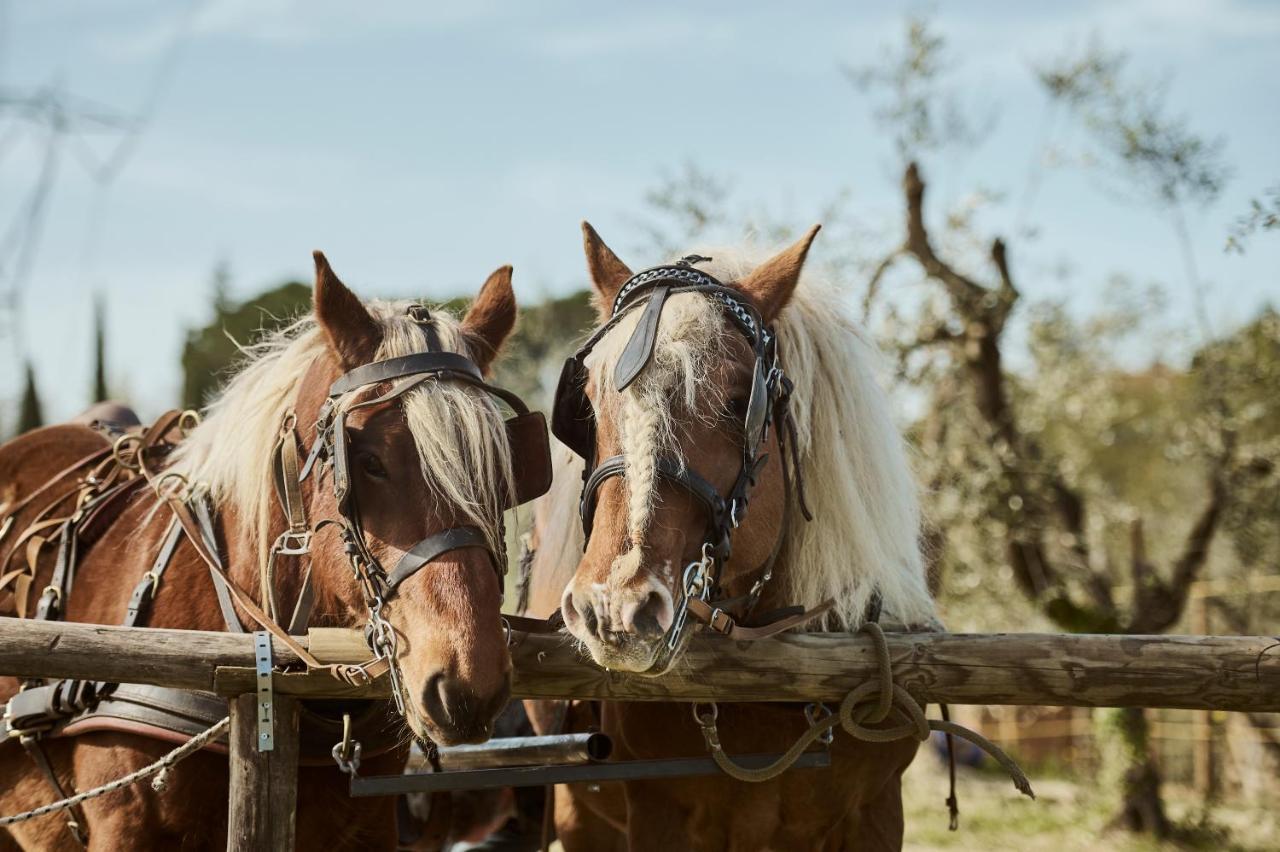 Gli Archi Agroturismo *