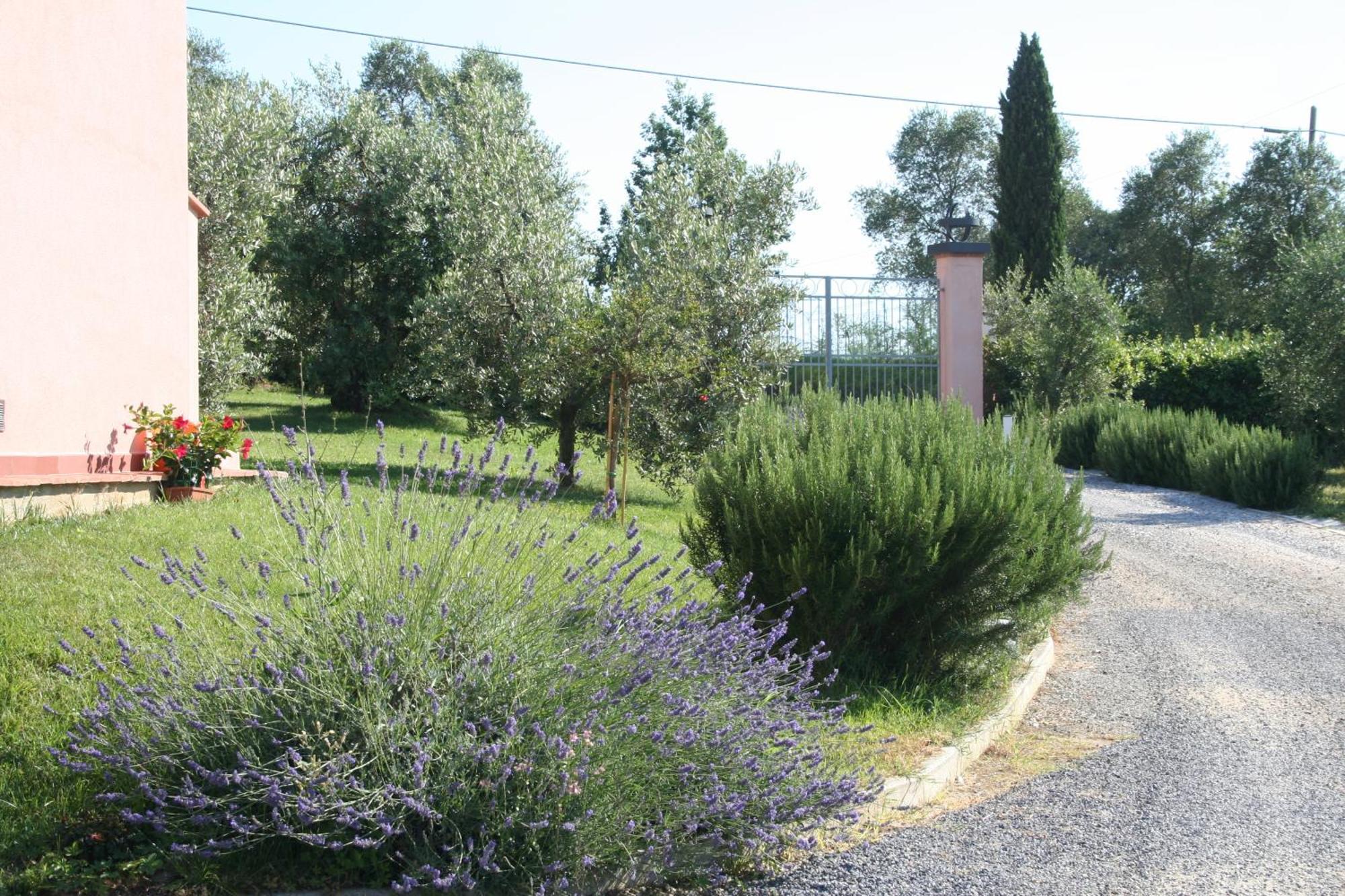 Gli Archi Agroturismo Fauglia