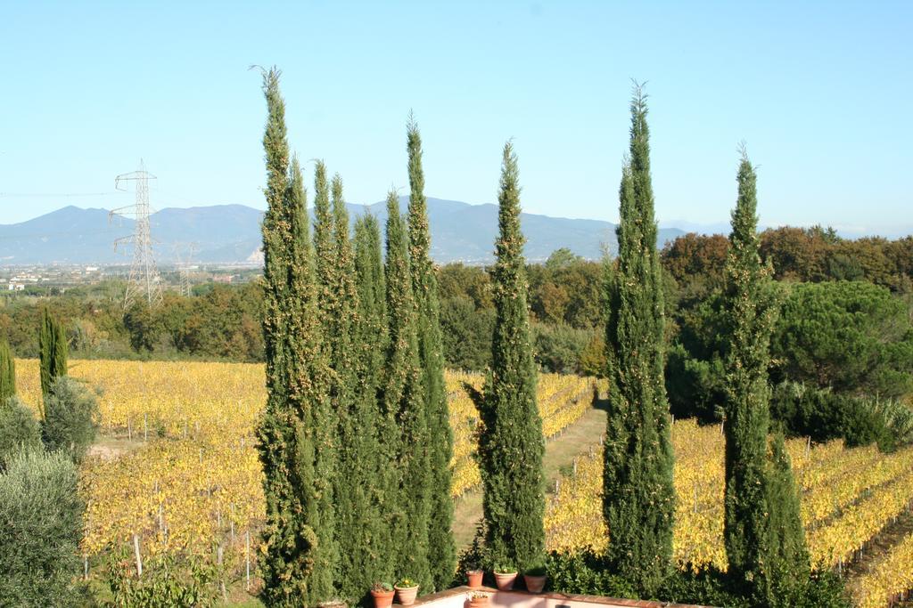 Gli Archi Agroturismo