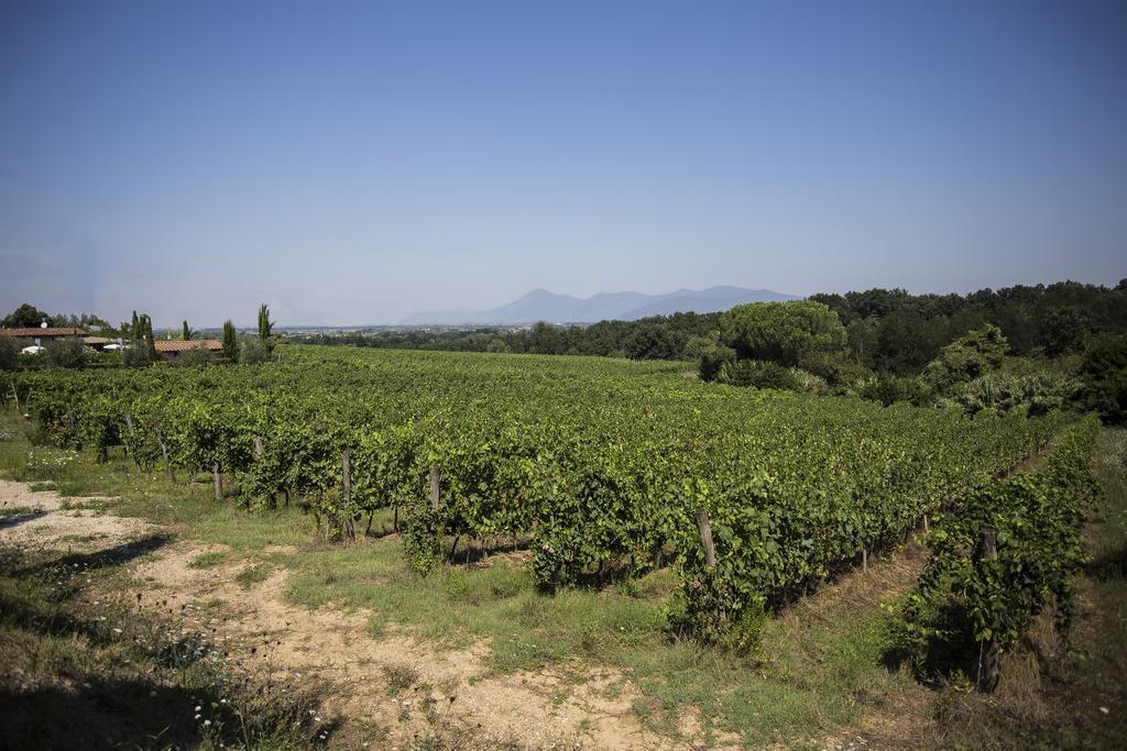 Agroturismo Gli Archi