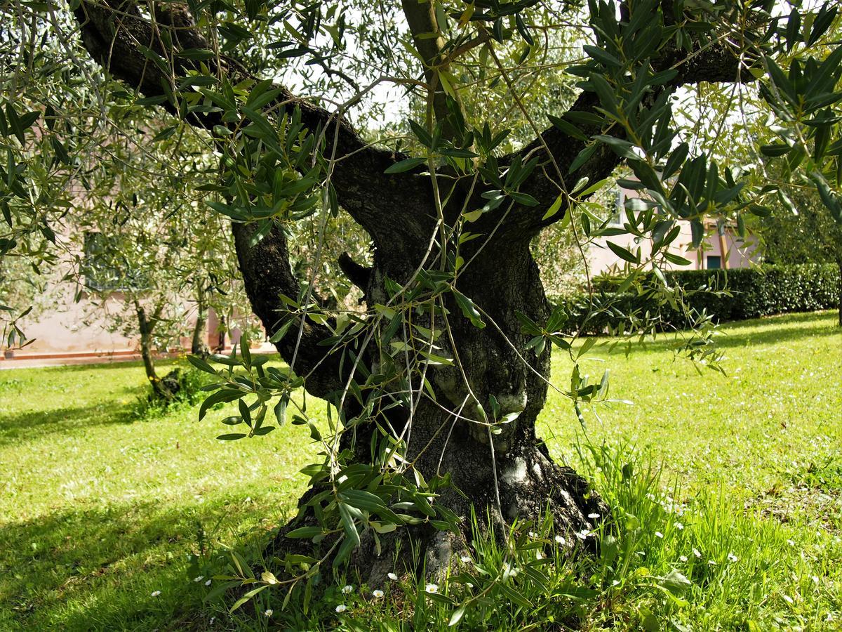 Gli Archi Agroturismo *